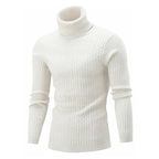 PULL À COL ROULÉ SOAN POUR HOMME