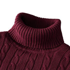 Pull à col roulé soan pour homme - Bordeaux